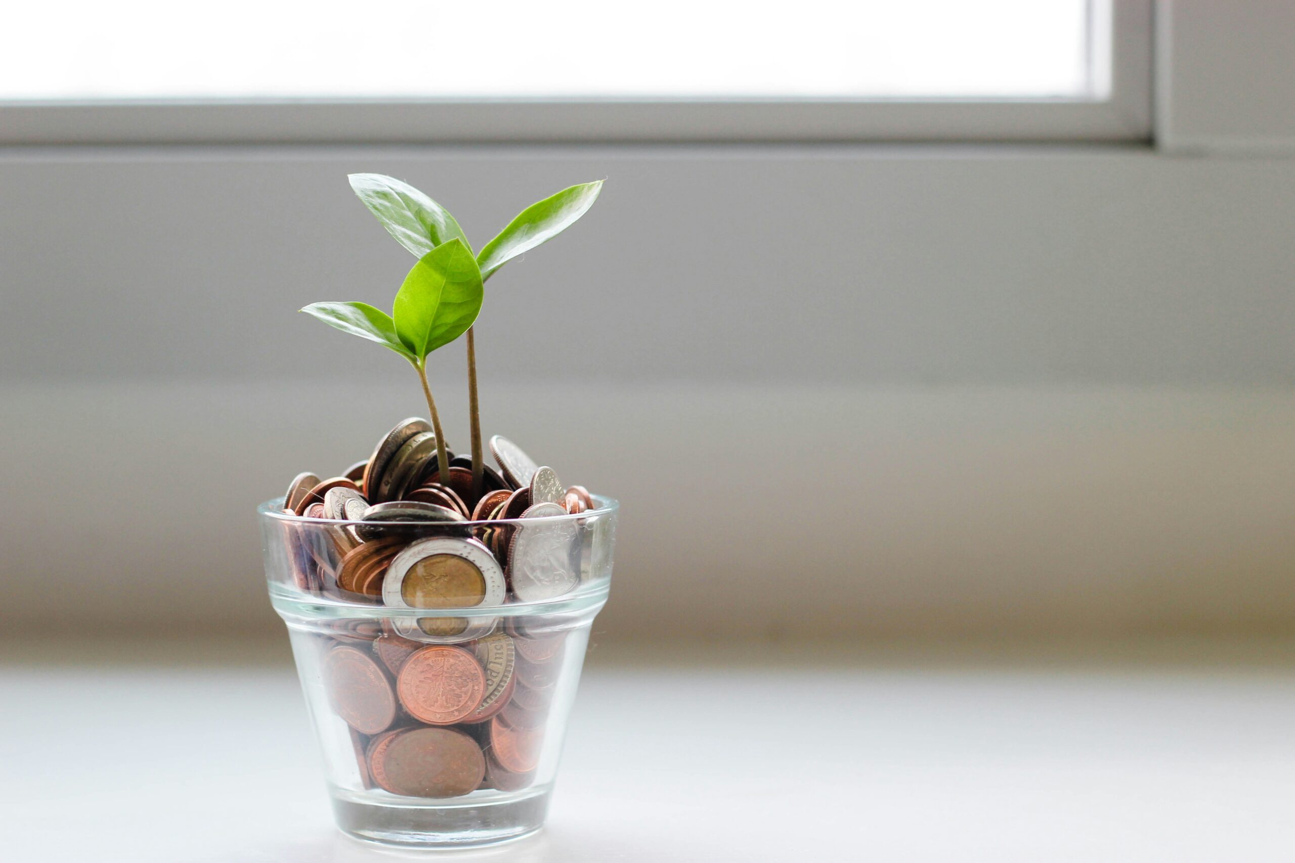 Immobilen finanzieren