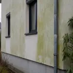 Hausfassade mit deutlichem grünem Algenbewuchs neben dem Regenfallrohr